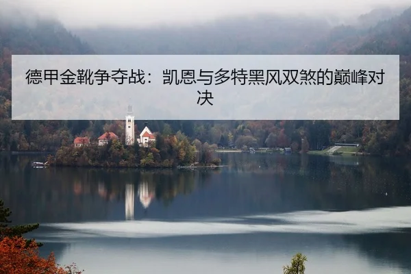 德甲金靴争夺战：凯恩与多特黑风双煞的巅峰对决