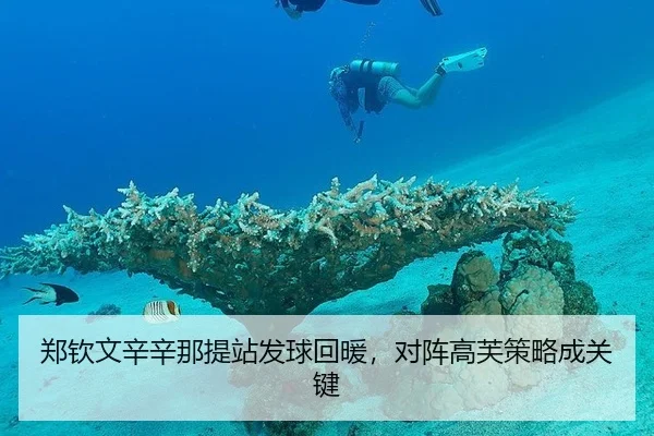 zheng-qin-wen-xin-xin-na-ti-zhan-fa-qiu-hui-nuan-dui-zhen-gao-fu-ce-lve-cheng-guan-jian-3-591.jpg
