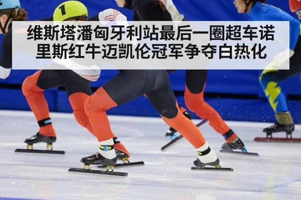 维斯塔潘匈牙利站最后一圈超车诺里斯红牛迈凯伦冠军争夺白热化