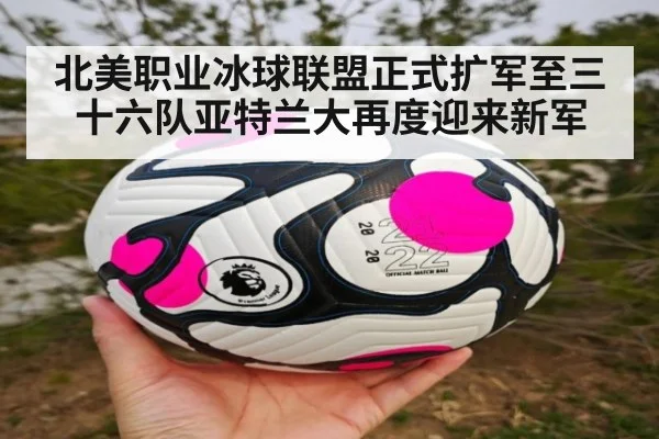 北美职业冰球联盟正式扩军至三十六队亚特兰大再度迎来新军